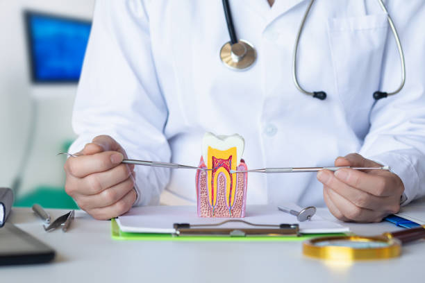 Best Pediatric Emergency Dentist in St Matthews, SC